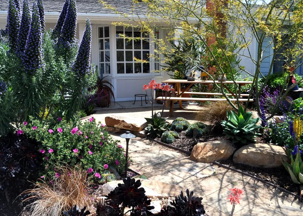 Trusted landscape installation in Huntington Beach Ca, CA by The Plant Nerd