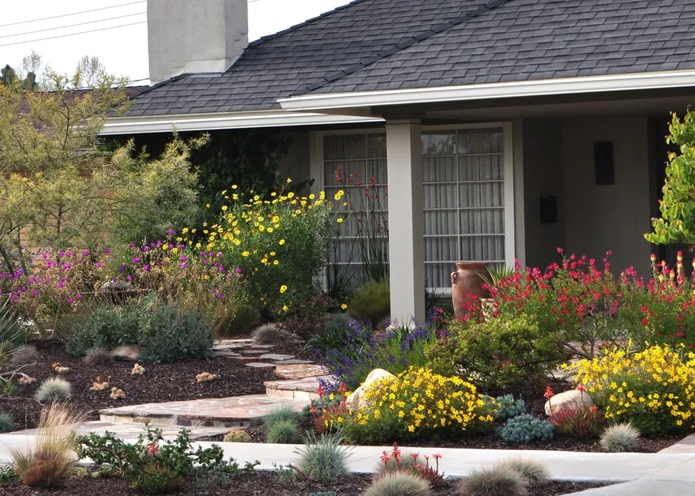 Reliable yard maintenance in Huntington Beach Ca, CA - The Plant Nerd