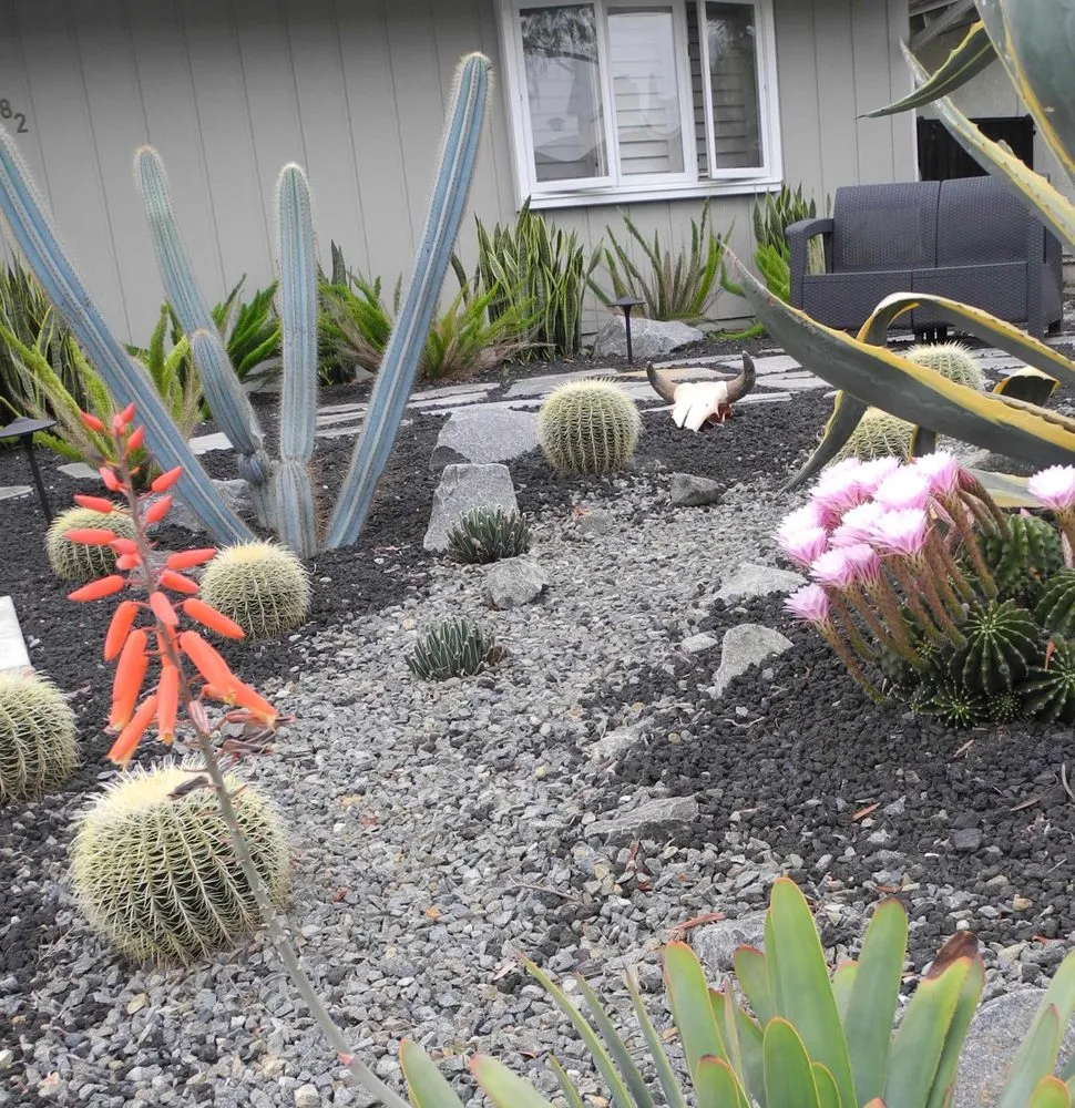 Top-rated yard cleanup service experts serving Huntington Beach Ca, CA - The Plant Nerd
