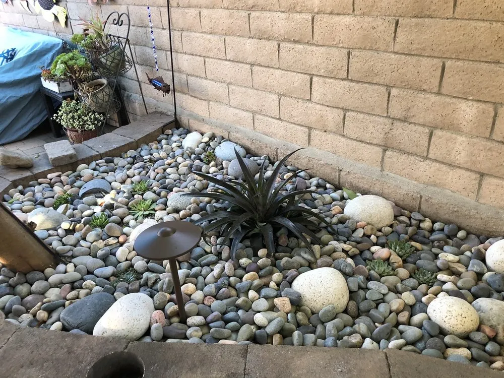 Local landscape installation for year-round maintenance across Huntington Beach Ca, CA - The Plant Nerd