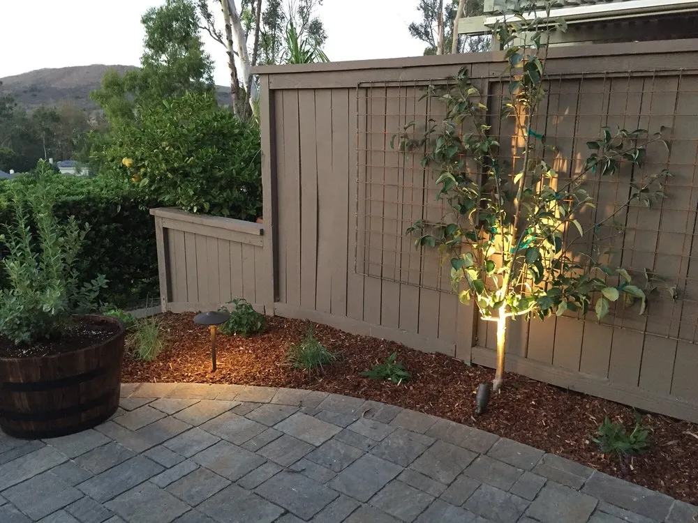 Reliable yard maintenance in Huntington Beach Ca, CA by The Plant Nerd