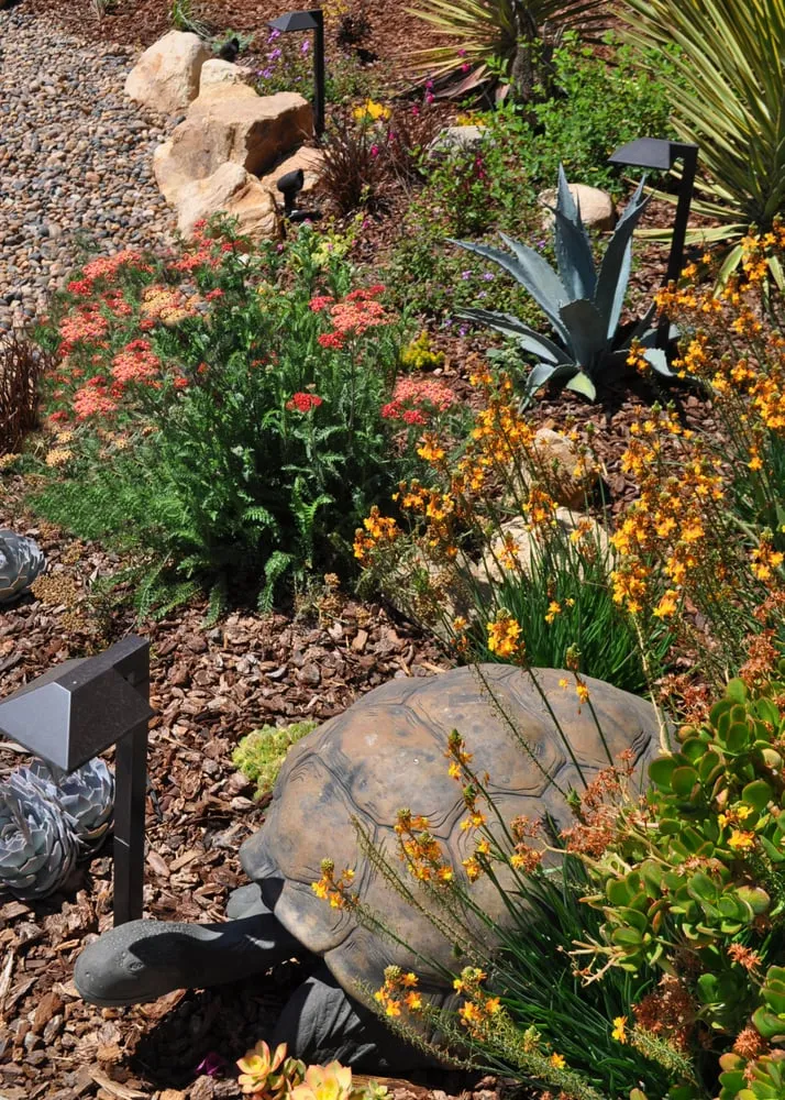 Local lawn care service in Huntington Beach Ca, CA - The Plant Nerd