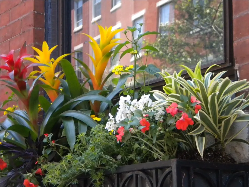 Professional landscaping services for residential properties in Clayton, NJ by The Plant Place