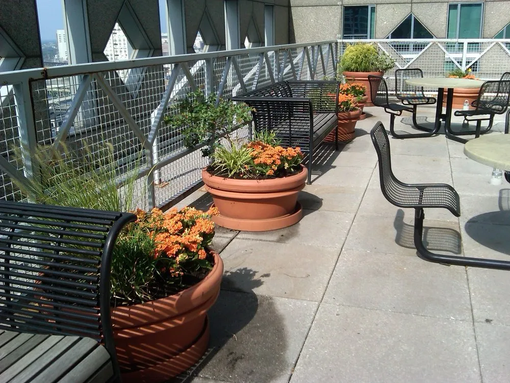 Affordable landscape design experts serving Clayton, NJ - The Plant Place