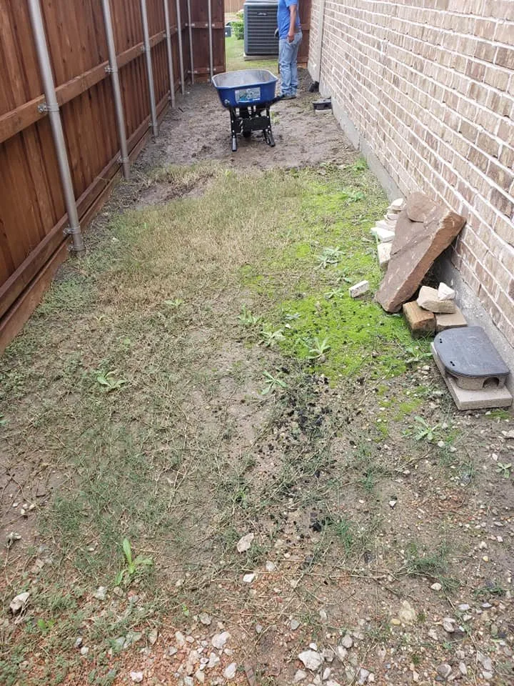 Expert landscape installation in Wylie, TX - The Planted Stone Landscaping