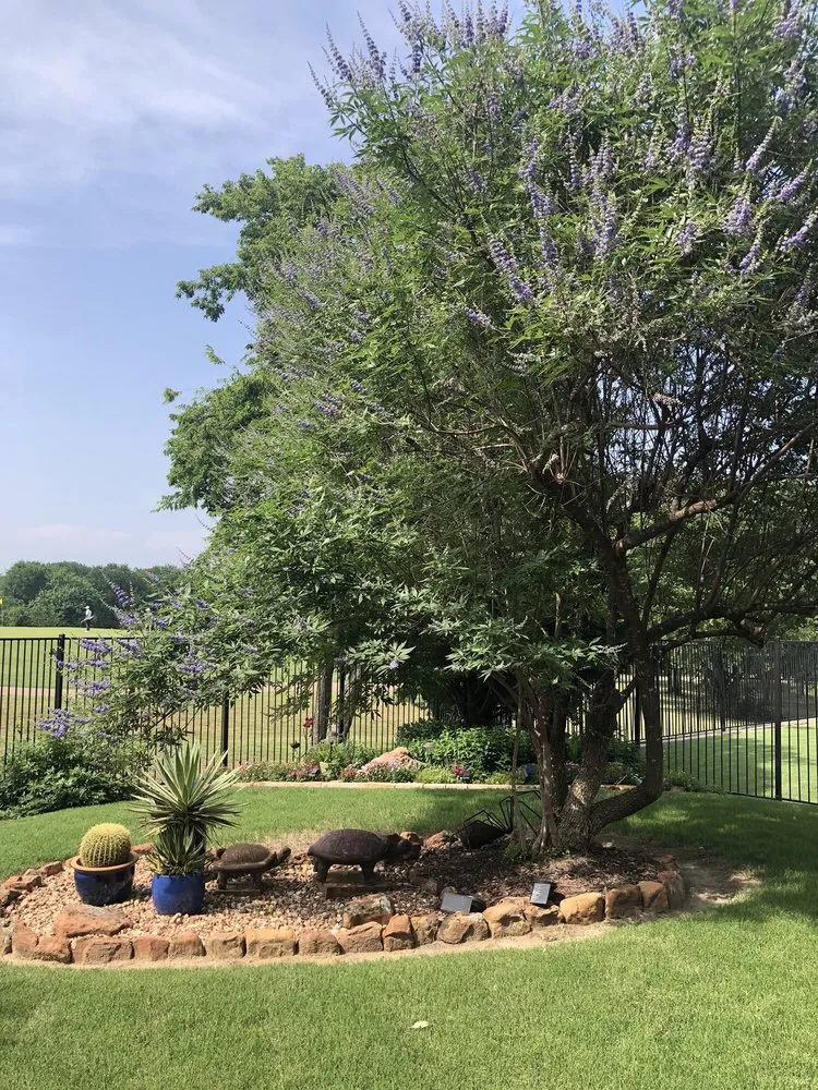 Professional garden landscaping for homes across Wylie, TX - The Planted Stone Landscaping