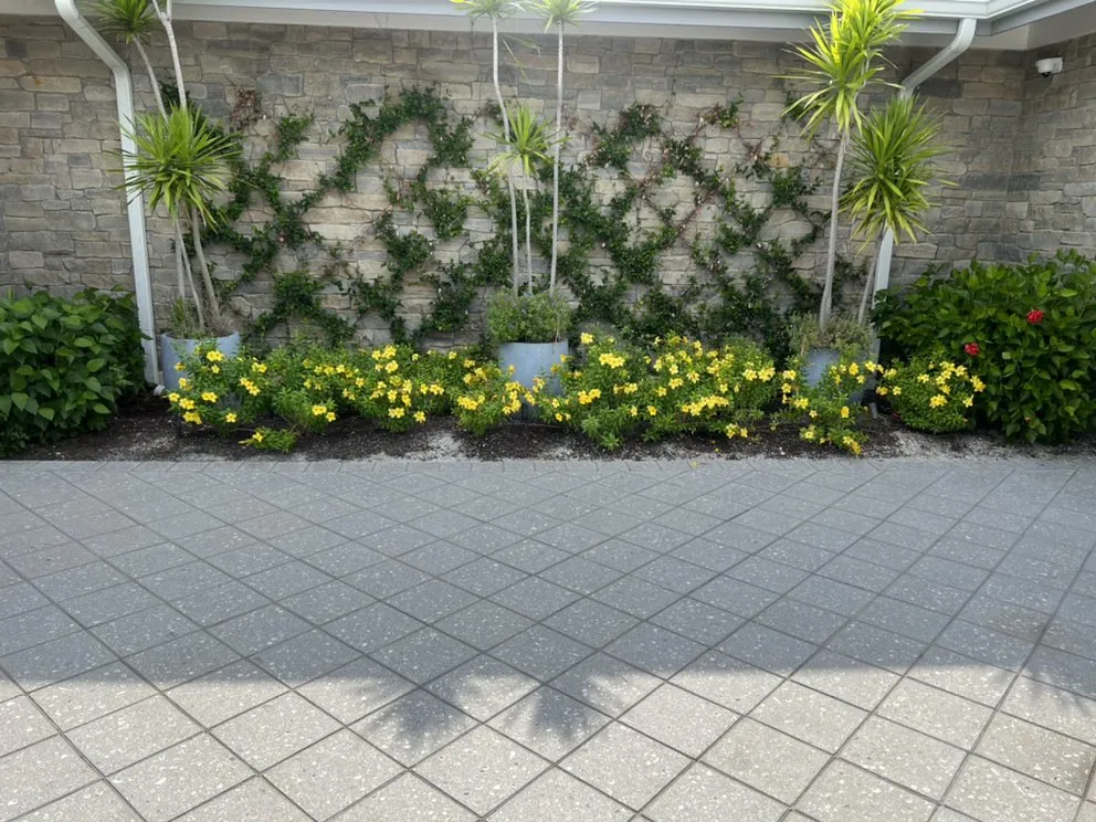 Reliable landscape design in North Port, FL by The Plants' Pruner