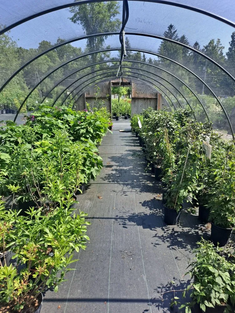 Trusted lawn mowing service experts serving Groton, NY - The Plantsmen