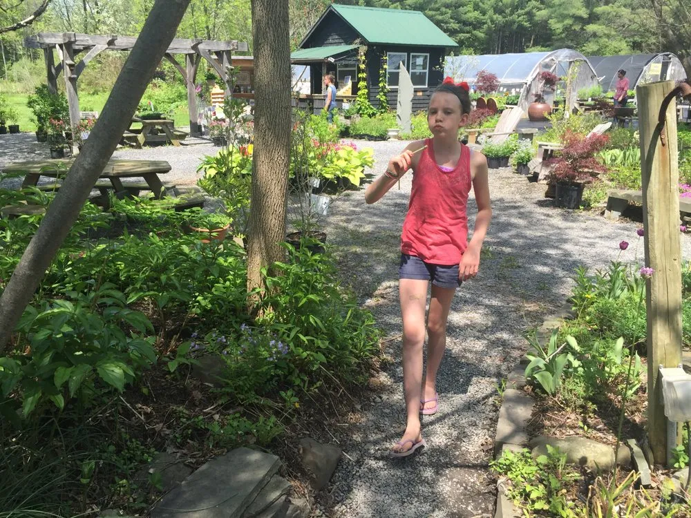 Professional lawn care service in Groton, NY by The Plantsmen