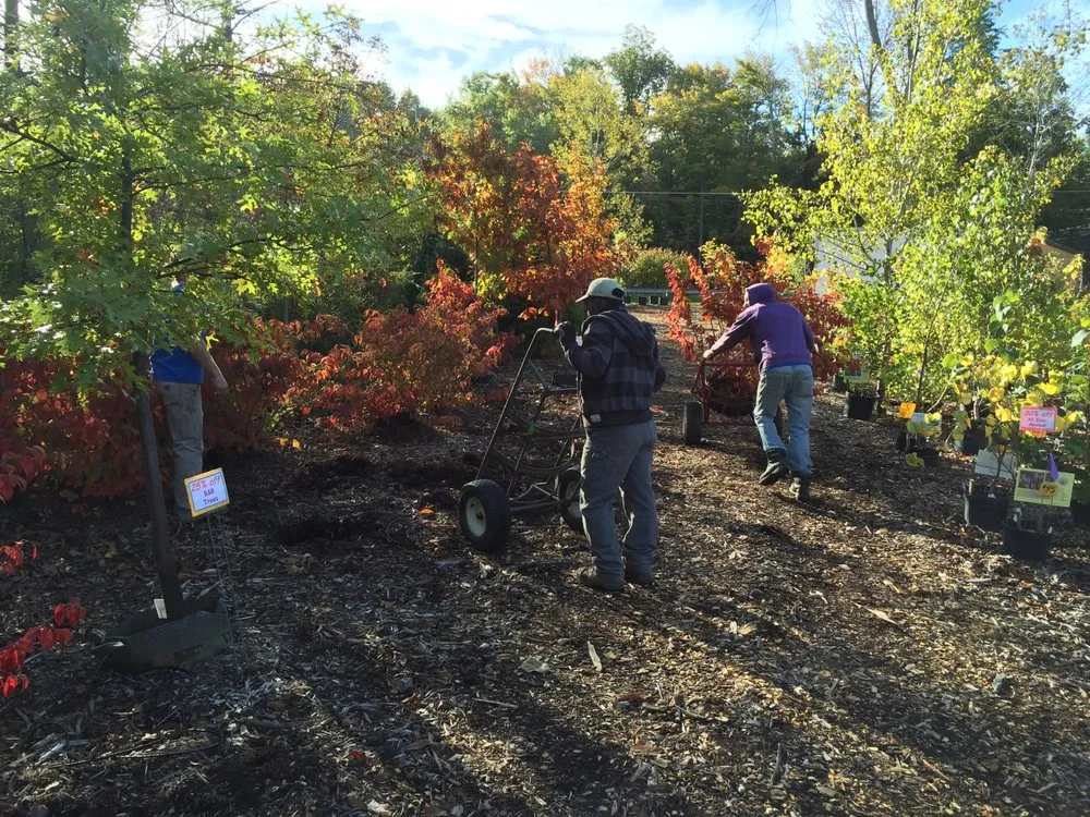 Custom yard maintenance in Groton, NY by The Plantsmen