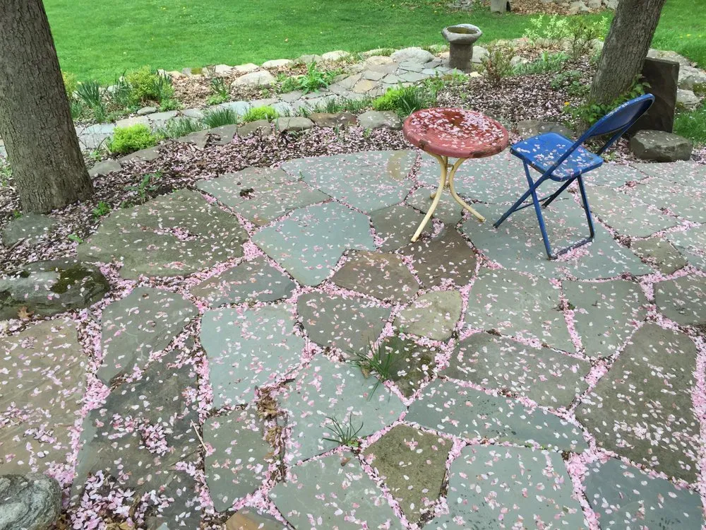 Affordable lawn care service in Groton, NY by The Plantsmen