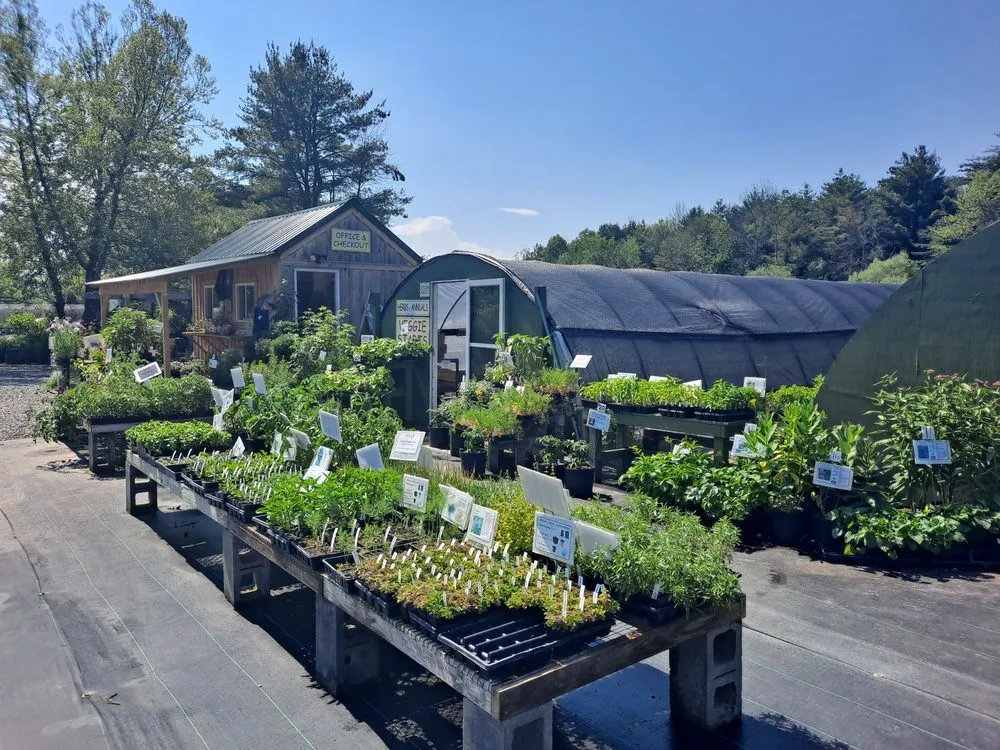 Expert garden landscaping in Groton, NY by The Plantsmen