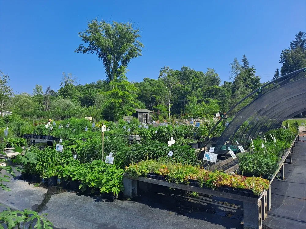 Local residential landscaping experts serving Groton, NY - The Plantsmen