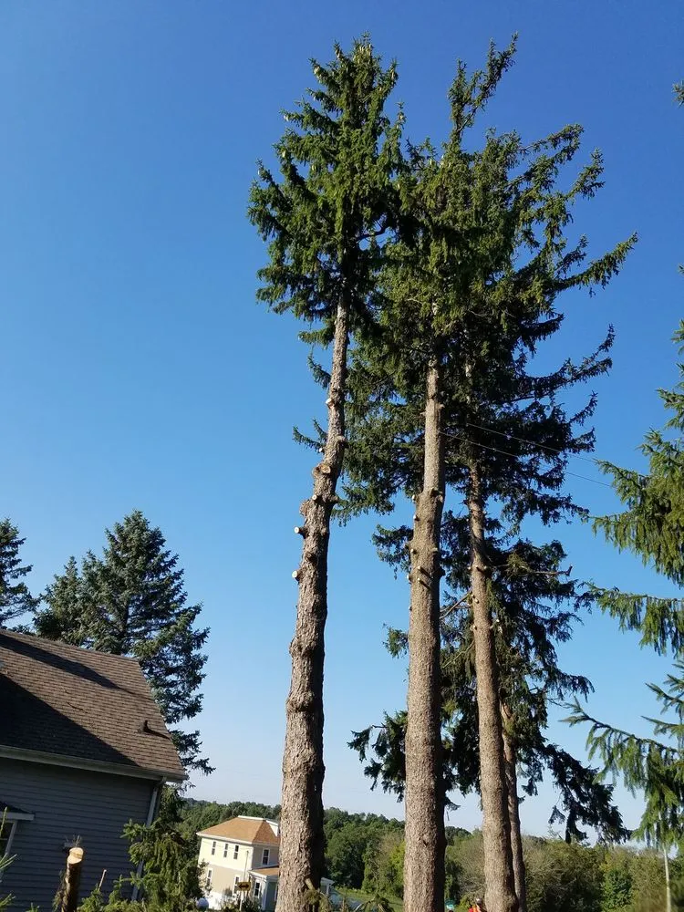 Trusted landscaping services near you across Plymouth, WI - The Plymouth Landscape Company