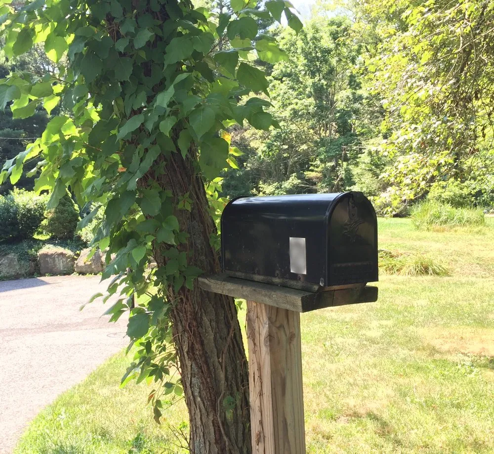 Affordable landscape design in Boylston, MA by The Poison Ivy Guy