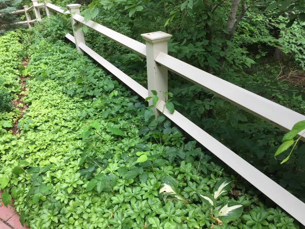 Top-rated residential landscaping for outdoor upgrades across Boylston, MA - The Poison Ivy Guy