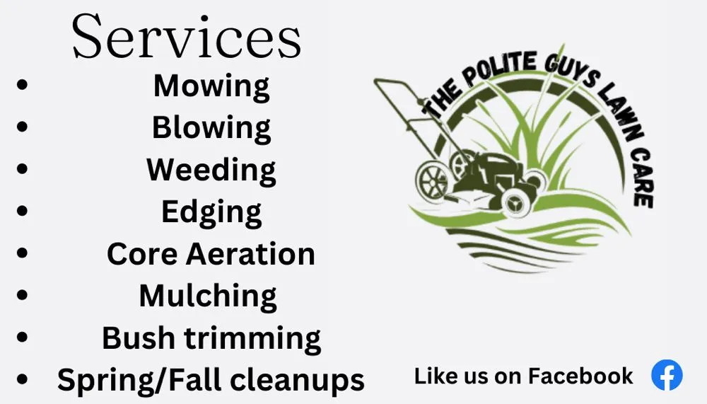 Professional lawn care service in Ruckersville, VA - The Polite Guys