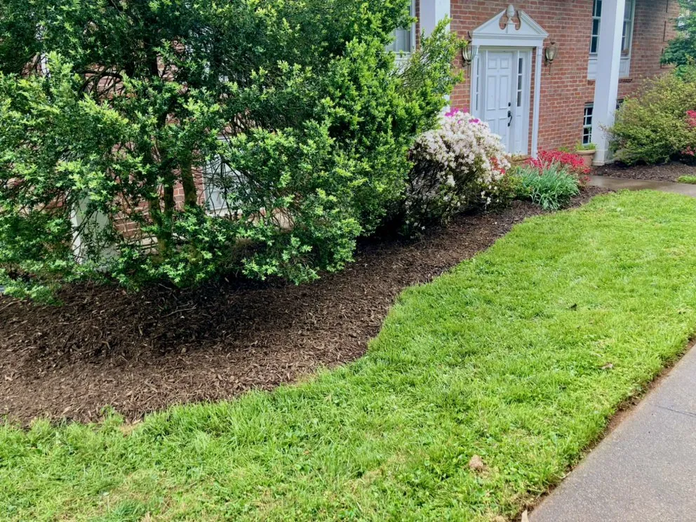 Affordable landscape design experts serving Ruckersville, VA - The Polite Guys