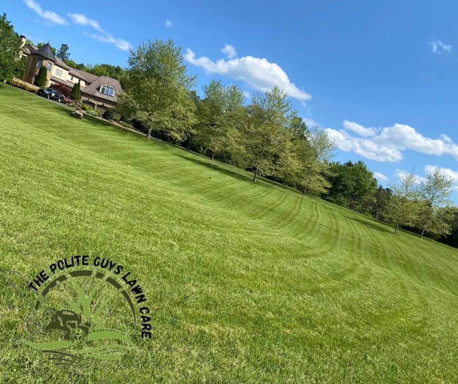 Custom landscaping services in Ruckersville, VA - The Polite Guys