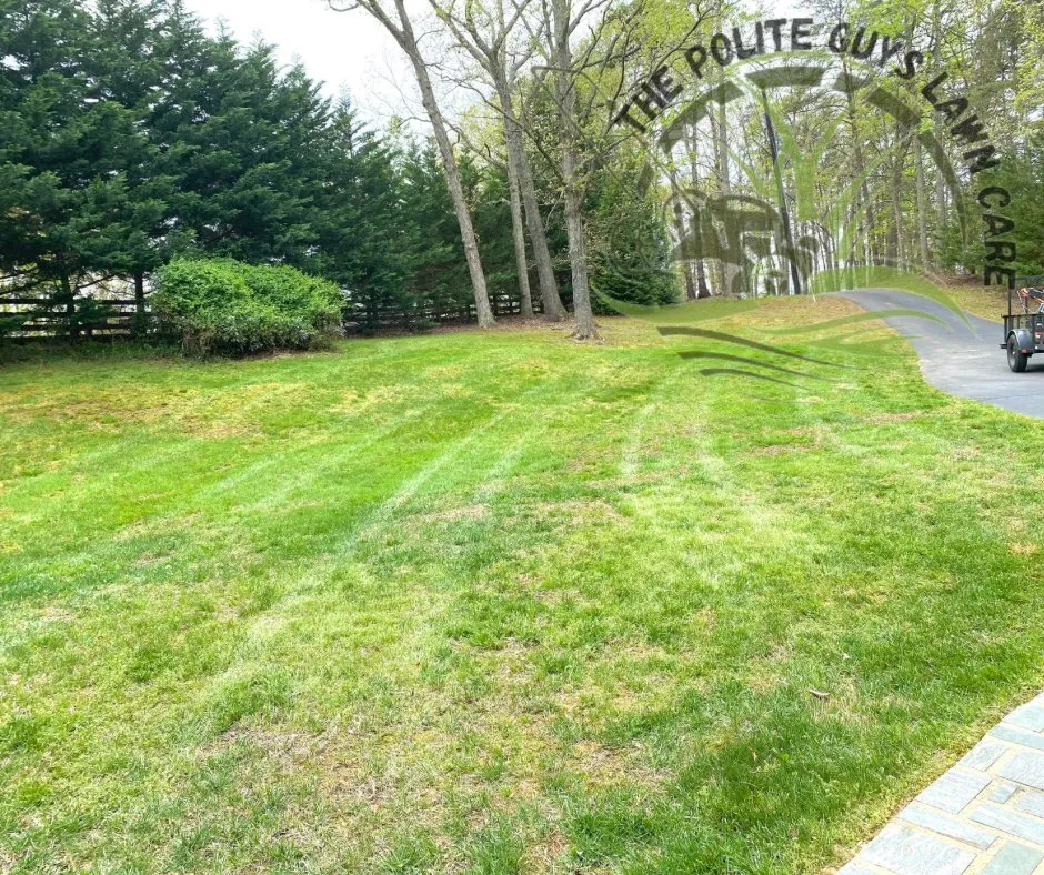 Expert lawn mowing service for beautiful yards in Ruckersville, VA by The Polite Guys