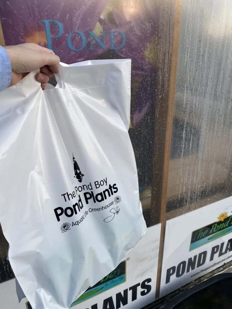 Affordable garden landscaping near you in Munfordville, KY by The Pond Boy