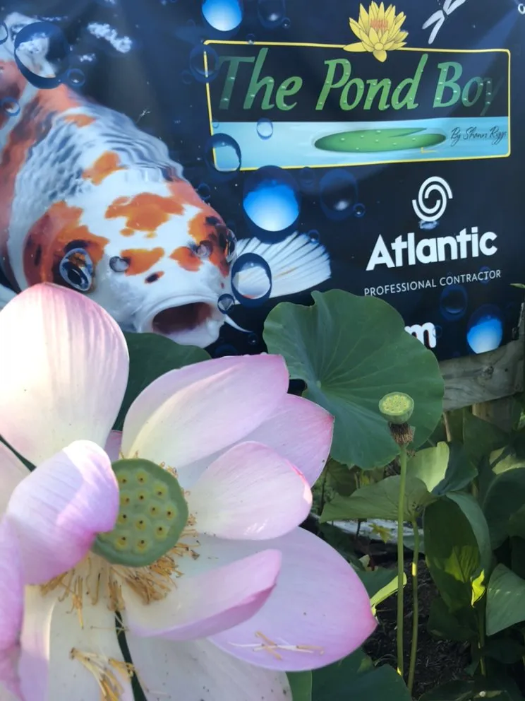 Local yard cleanup service with custom design across Munfordville, KY - The Pond Boy