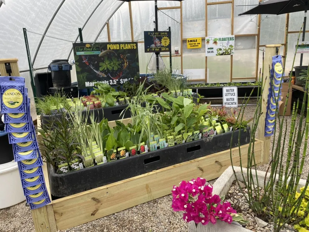 Local landscape design with custom design across Munfordville, KY - The Pond Boy