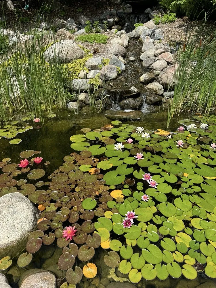 Trusted lawn mowing service near you across Minneapolis, MN - The Pond Company