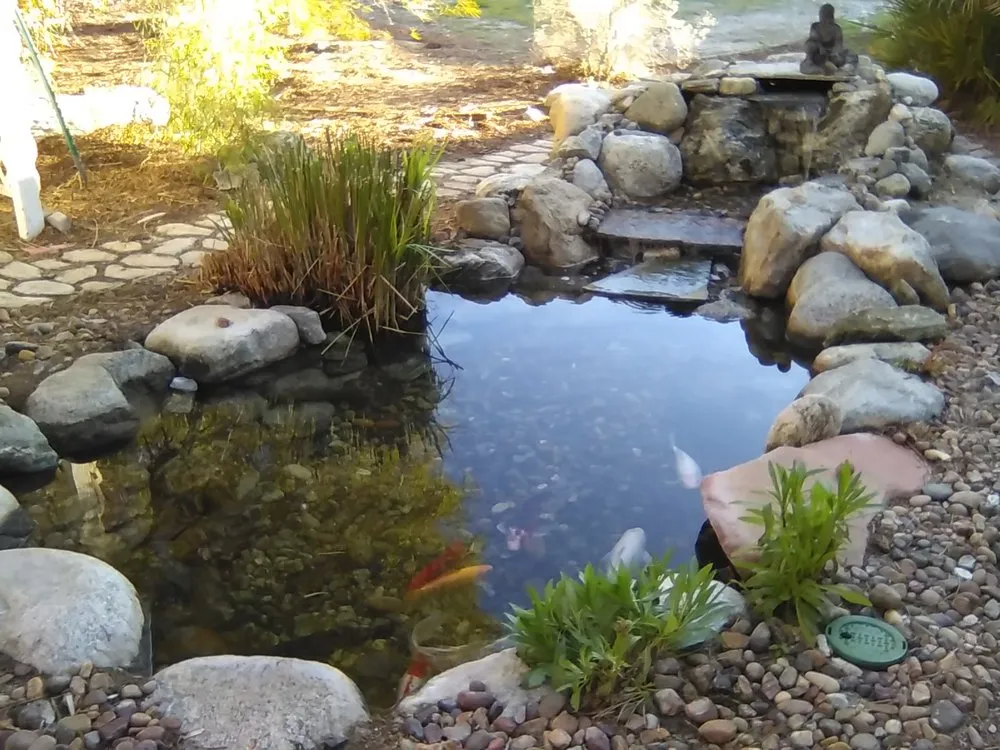 Local landscaping services near you across Cherry Valley, CA - The Pond Digger