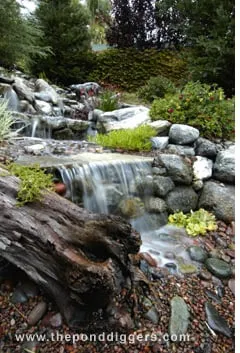 Professional yard maintenance in Cherry Valley, CA by The Pond Digger