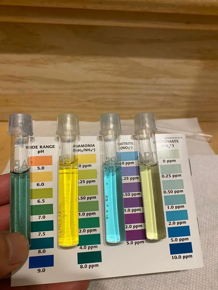 Top-rated landscaping services for beautiful yards across Cherry Valley, CA - The Pond Digger