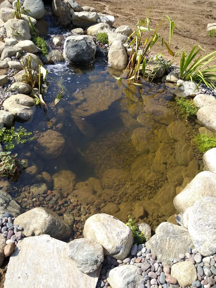 Professional landscape installation in Cherry Valley, CA - The Pond Digger