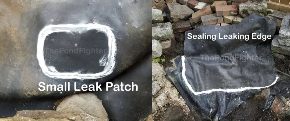 Affordable garden landscaping experts serving Ellicott City, MD - The Pond Fighter