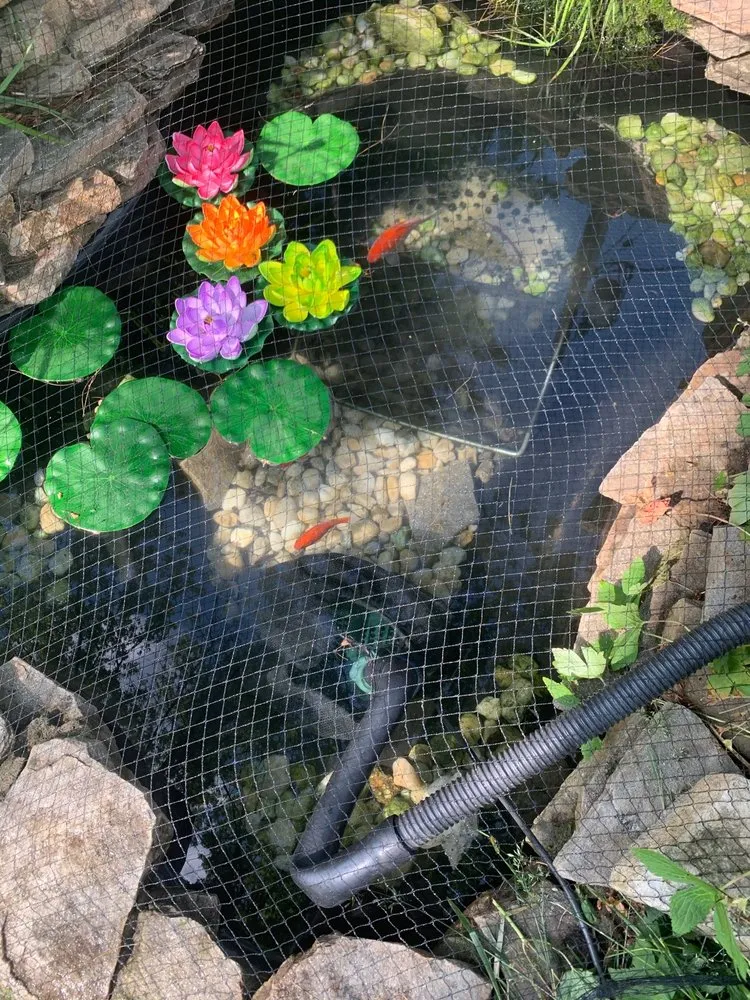 Expert lawn care service experts serving Ellicott City, MD - The Pond Fighter