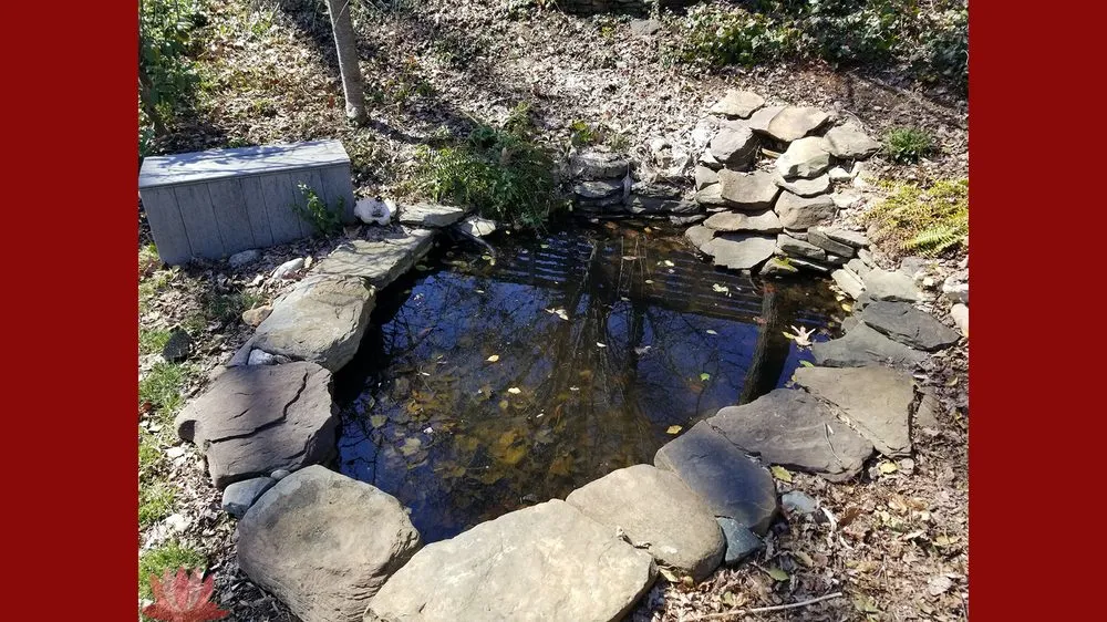 Reliable outdoor landscaping for outdoor upgrades in Ellicott City, MD by The Pond Fighter