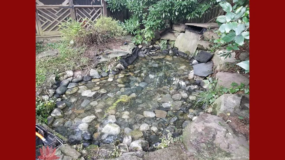 Top-rated lawn care service for beautiful yards across Ellicott City, MD - The Pond Fighter