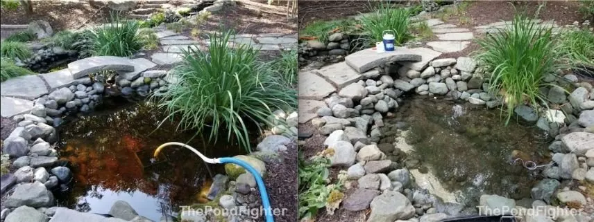 Trusted lawn care service with custom design in Ellicott City, MD by The Pond Fighter