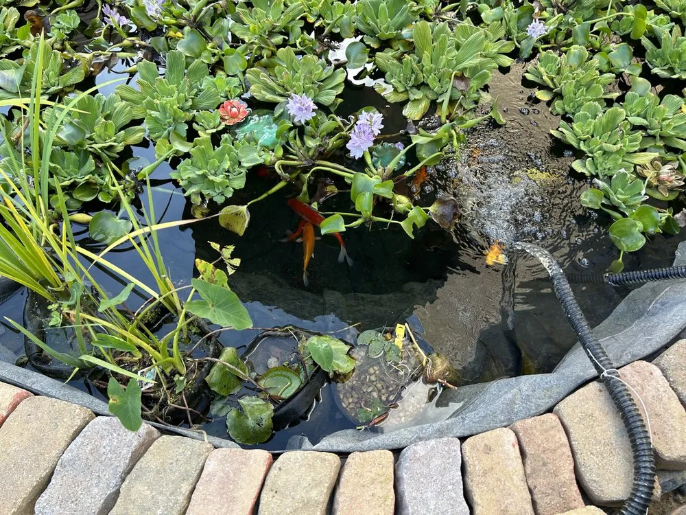 Reliable yard cleanup service for beautiful yards in Ellicott City, MD by The Pond Fighter