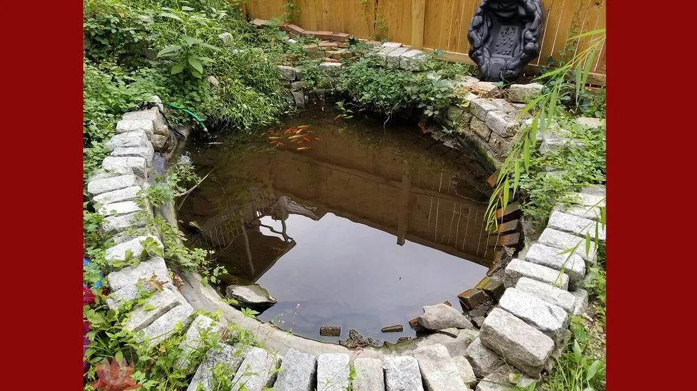 Custom residential landscaping experts serving Ellicott City, MD - The Pond Fighter