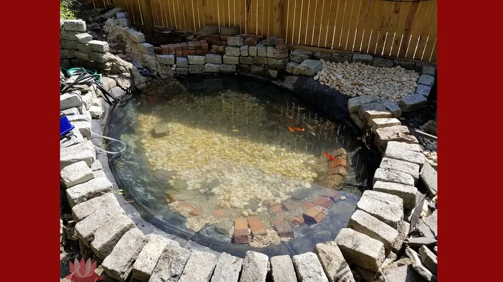 Expert lawn mowing service experts serving Ellicott City, MD - The Pond Fighter