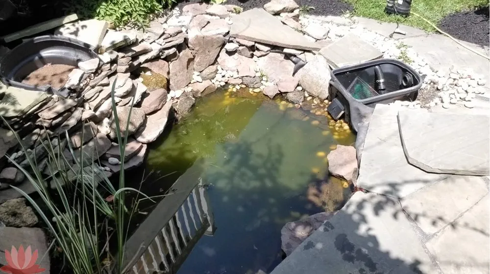 Local garden landscaping with custom design in Ellicott City, MD by The Pond Fighter