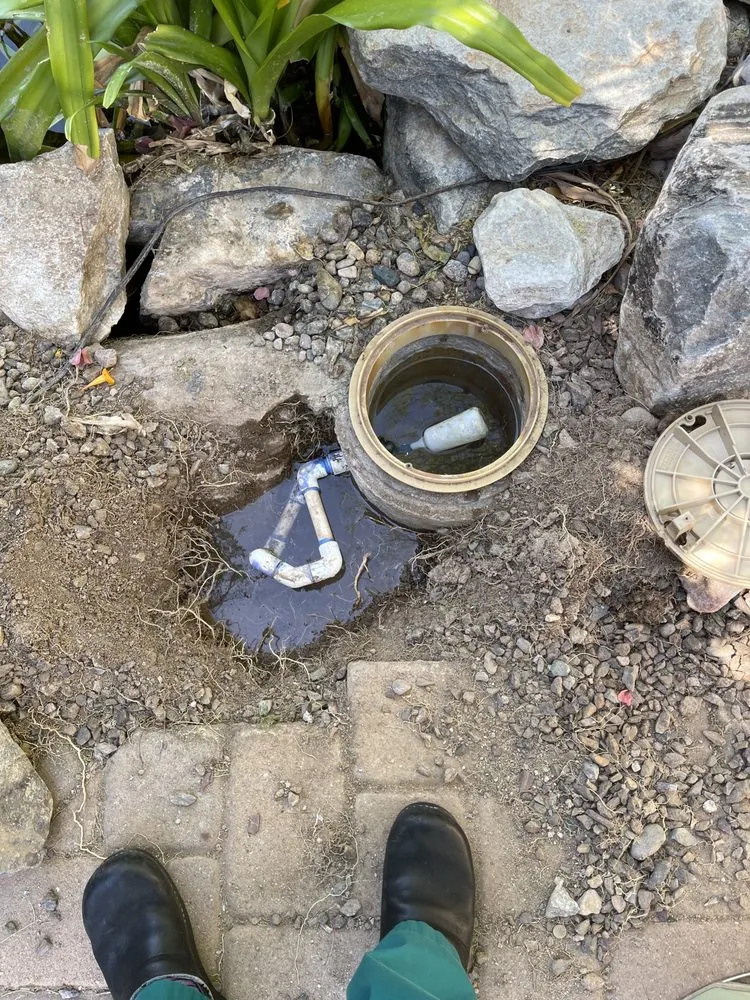 Affordable yard maintenance for residential properties across Peoria, AZ - The Pond Gnome