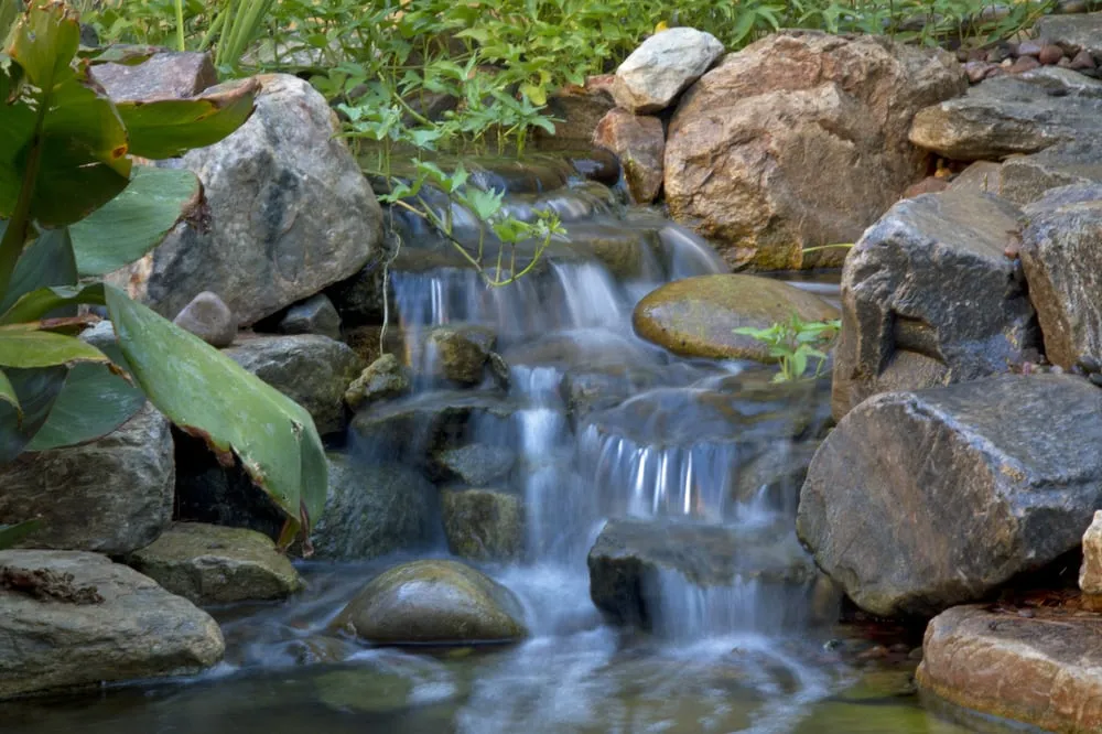 Local landscaping services in Peoria, AZ by The Pond Gnome