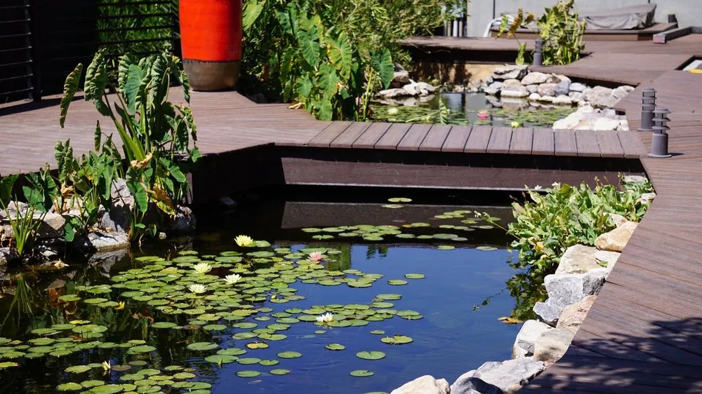 Professional landscape design in Peoria, AZ - The Pond Gnome