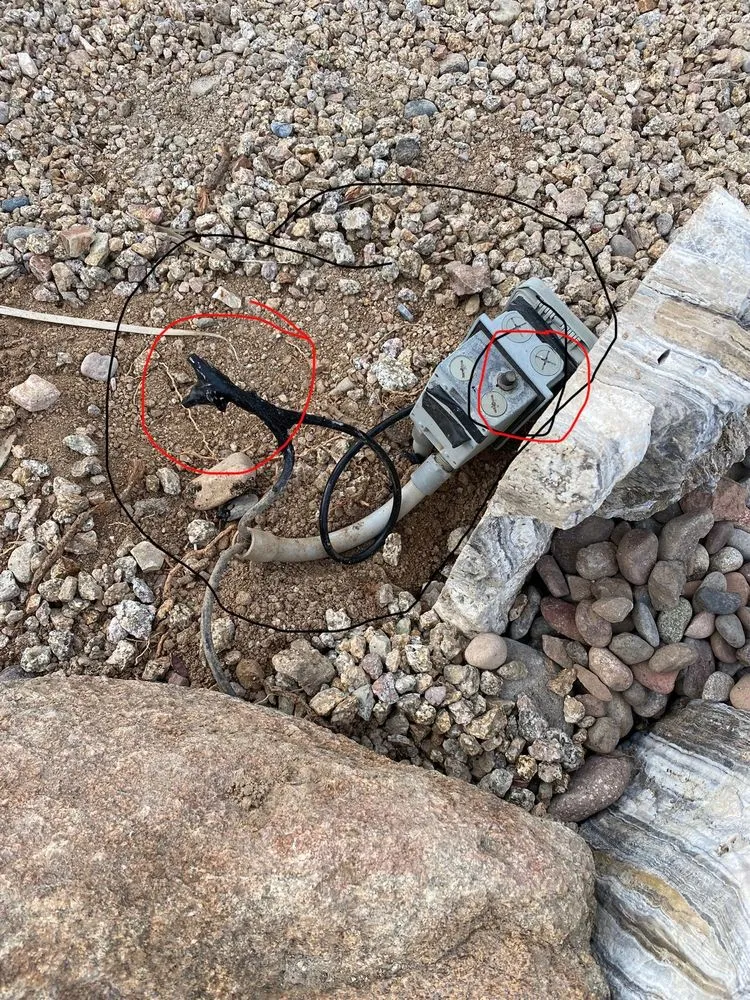 Local yard cleanup service in Peoria, AZ by The Pond Gnome