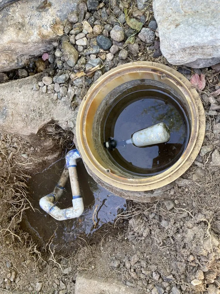 Reliable outdoor landscaping in Peoria, AZ by The Pond Gnome