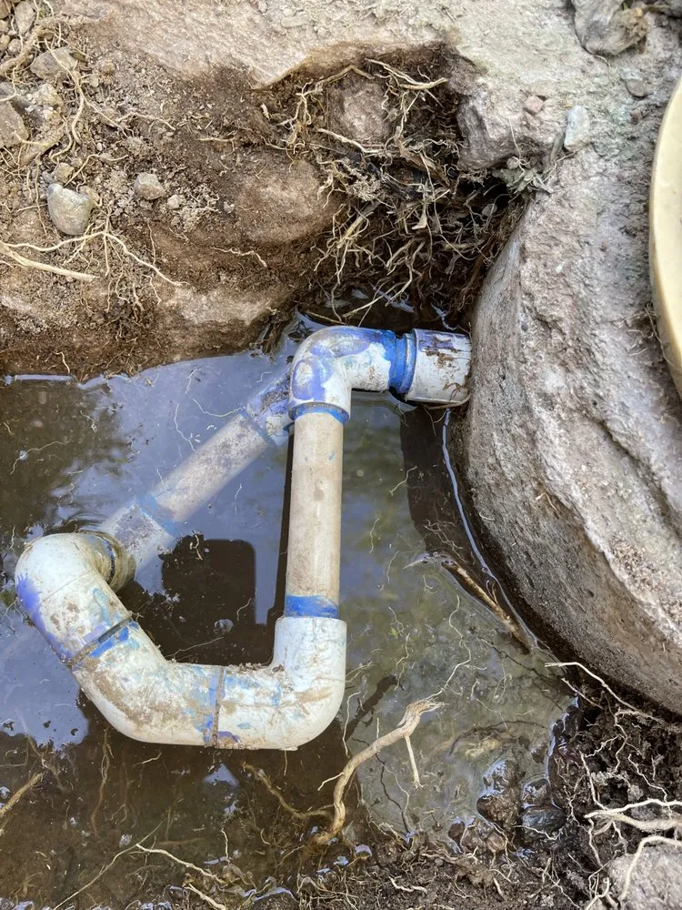 Professional lawn mowing service for year-round maintenance across Peoria, AZ - The Pond Gnome