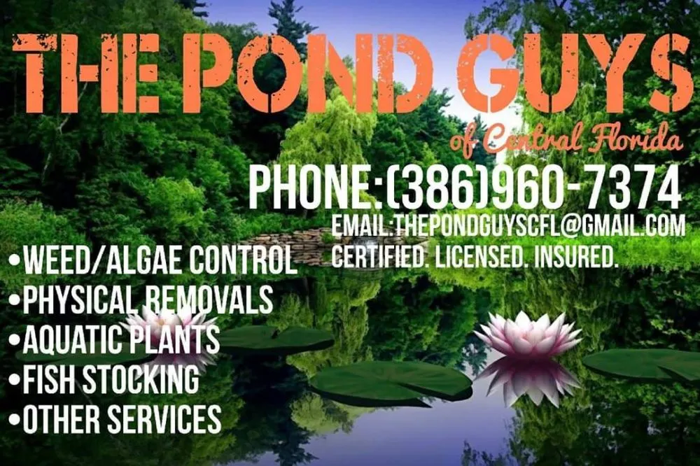 Professional landscape design for homes across Deltona, FL - The Pond Guys of Central Florida