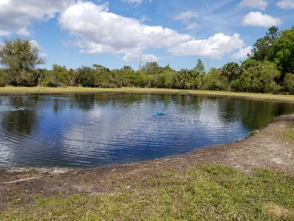 Expert yard cleanup service in Deltona, FL by The Pond Guys of Central Florida