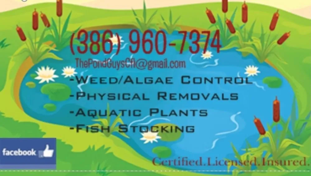 Top-rated garden landscaping for year-round maintenance across Deltona, FL - The Pond Guys of Central Florida